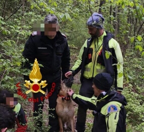 Anziana dispersa ritrovata grazie al fiuto di “Floki”, cane da ricerca dei Vigili del Fuoco di Pavia