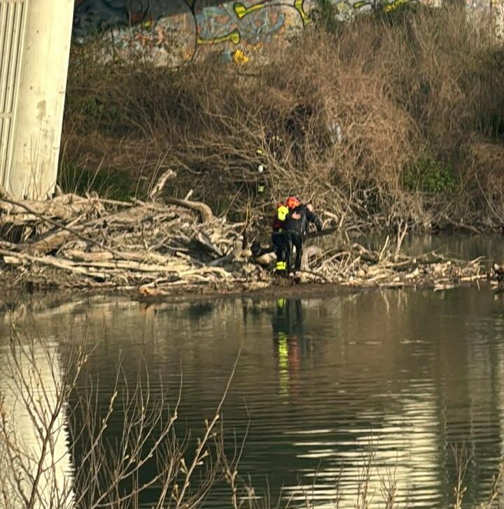 Uomo si getta dal ponte Tiziano di Alessandria: soccorso dai Vigili del Fuoco. È vivo
