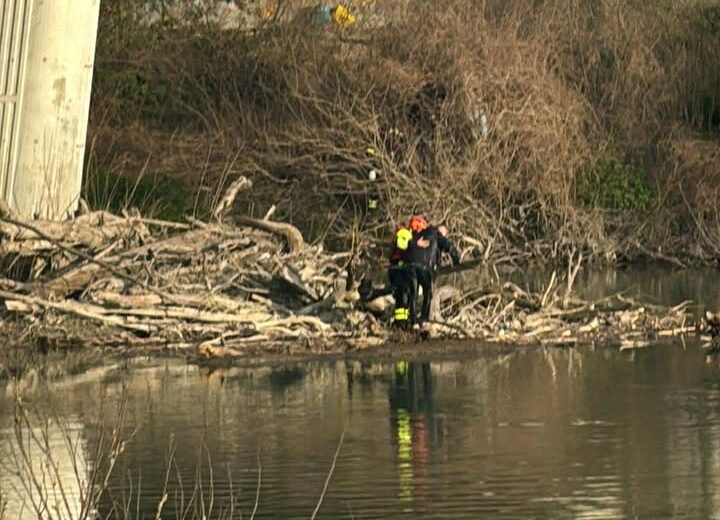 Uomo si getta dal ponte Tiziano di Alessandria: soccorso dai Vigili del Fuoco. È vivo