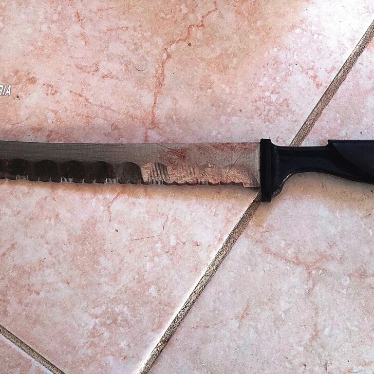 Dramma a Carentino: le coltellate della figlia poi si getta dalla finestra per salvarsi