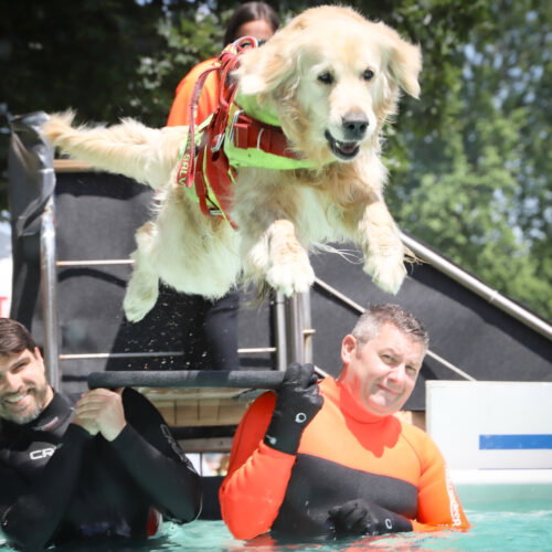 Pet in Fiera 2026: a Pavia torna il grande evento dedicato agli animali da compagnia