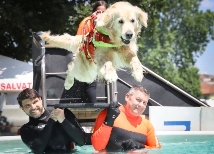 Pet in Fiera 2026: a Pavia torna il grande evento dedicato agli animali da compagnia