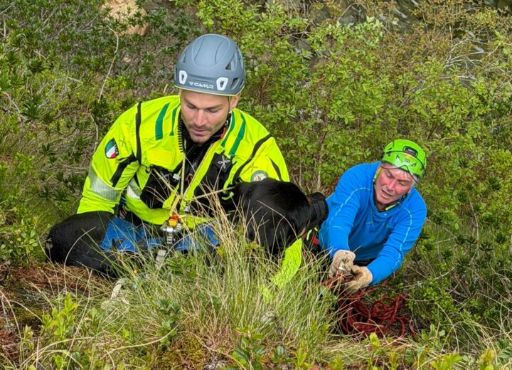 Soccorso Alpino: trovato e recuperato cane smarrito durante un’esercitazione