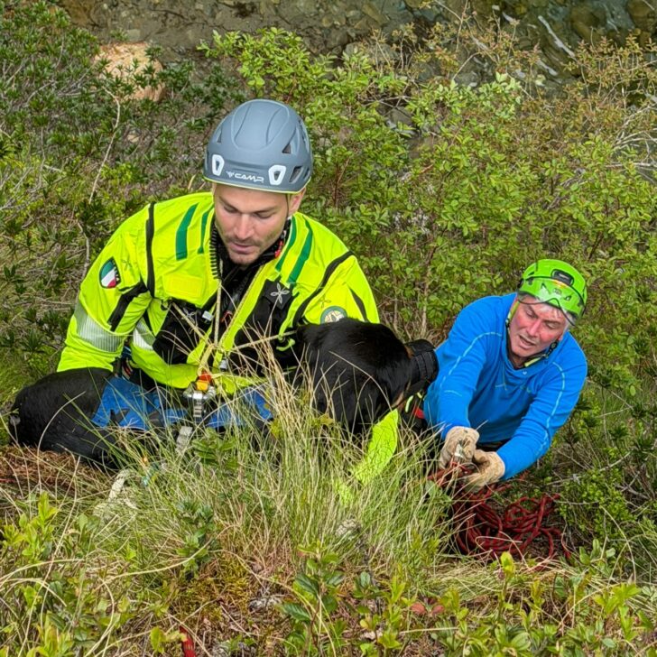 Soccorso Alpino: trovato e recuperato cane smarrito durante un’esercitazione