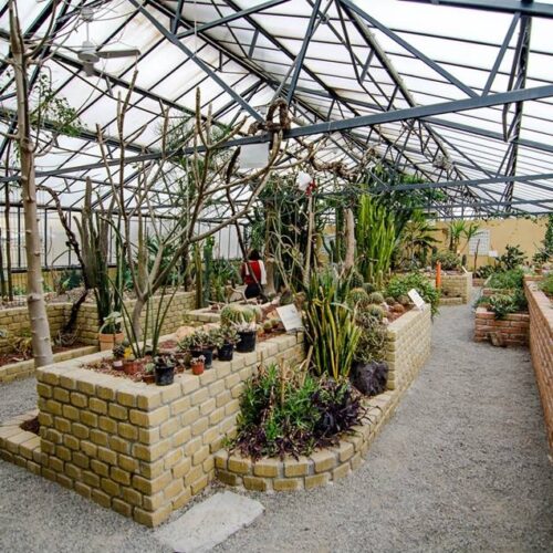 Alessandria Green Week 2026: natura, scienza e tante attività al Giardino Botanico