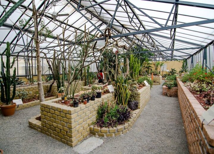 Alessandria Green Week 2026: natura, scienza e tante attività al Giardino Botanico