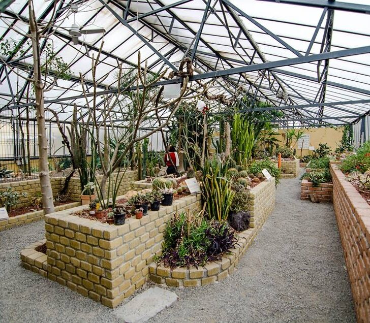 Alessandria Green Week 2026: natura, scienza e tante attività al Giardino Botanico