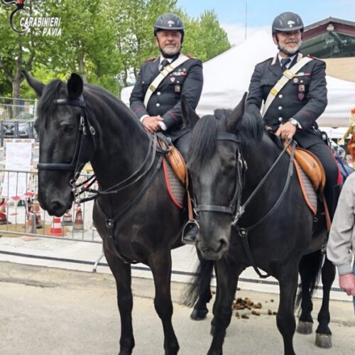 A Varzi in fiera anche i Carabinieri a cavallo