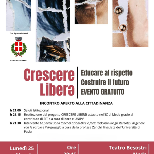 Mede, un progetto per educare al rispetto e prevenire la violenza di genere: incontro pubblico al Besostri