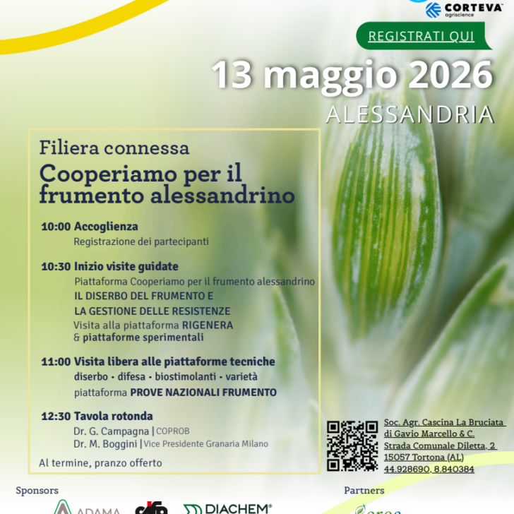 Mercoledì a Tortona una giornata dedicata al frumento: visite guidate, tavola rotonda e prove tecniche