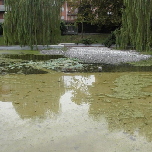 Addio al laghetto del quartiere Cristo di Alessandria: presto i lavori per demolirlo e creare una nuova area