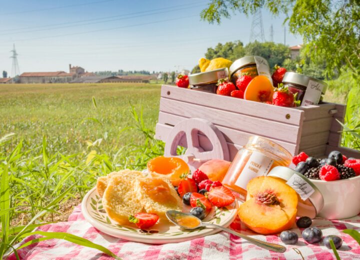 Cosa fare nel weekend in provincia di Pavia. Gli appuntamenti di sabato 30 e domenica 31 maggio