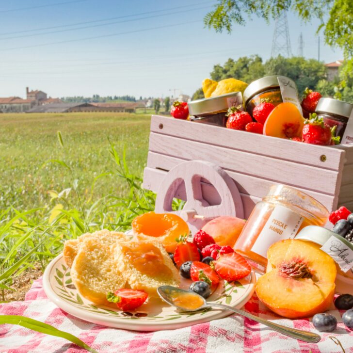Cosa fare nel weekend in provincia di Pavia. Gli appuntamenti di sabato 30 e domenica 31 maggio