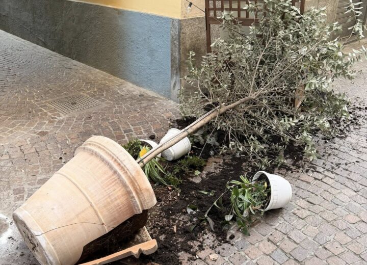 Atti vandalici in una via del centro a Casale, l’amarezza di un commerciante: “Non è la prima volta”