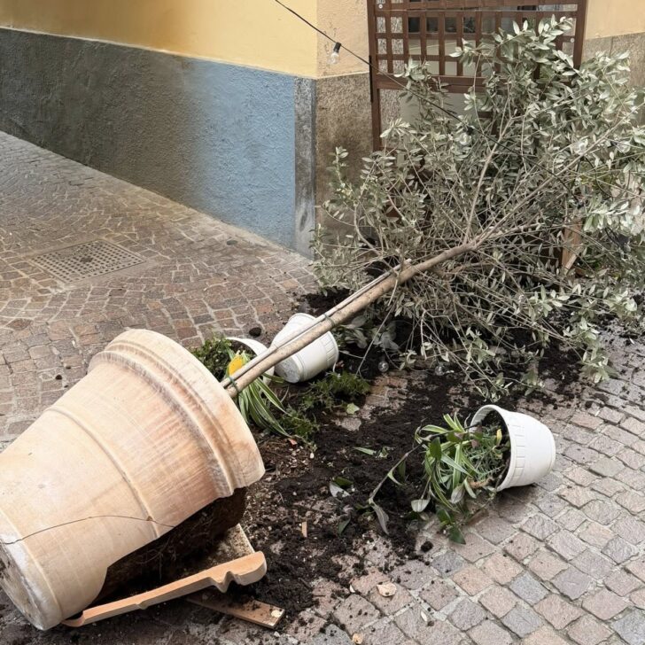 Atti vandalici in una via del centro a Casale, l’amarezza di un commerciante: “Non è la prima volta”
