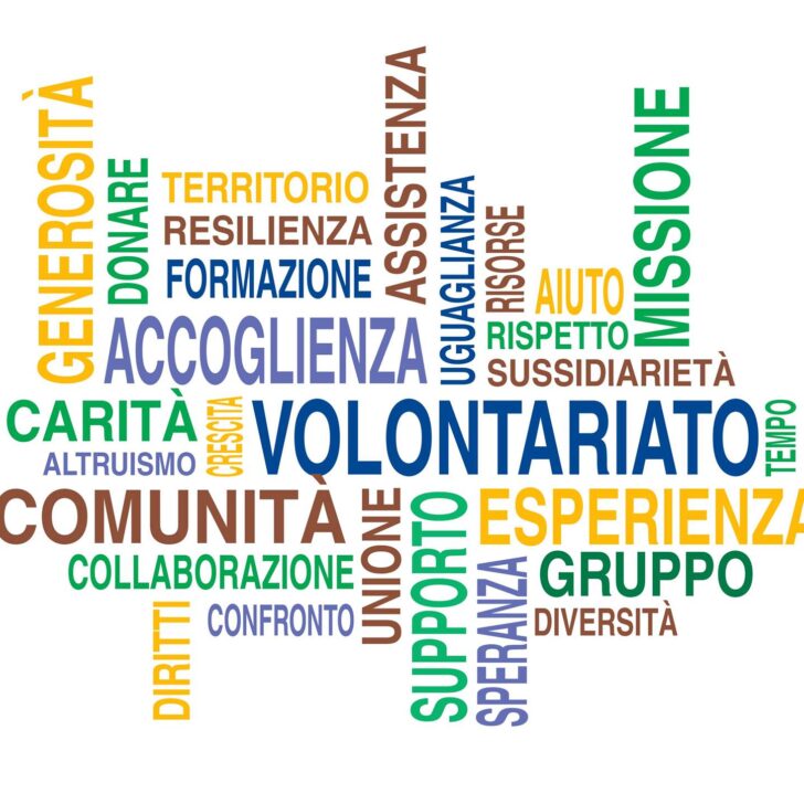 Volontariato a Valenza, Zaio: “Se sarò eletta chiederò al presidente della Consulta Violo di collaborare”