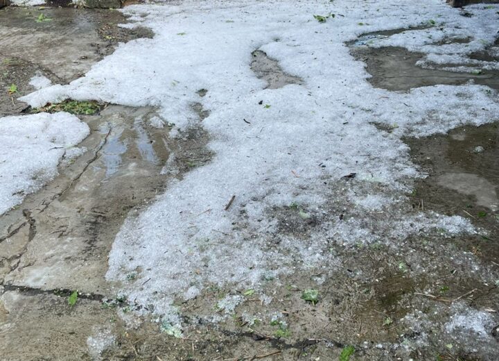 Forte temporale tra Casalese e Val Cerrina. Vento e grandine devastano vigneti a Rosignano