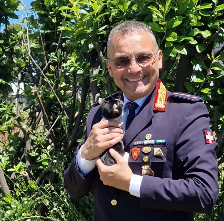 Salvata in una rotonda ora la gattina Elisabetta è stata adottata dal Comandante della Polizia Locale