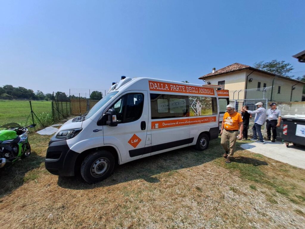 Baulandia Casale evacuazione