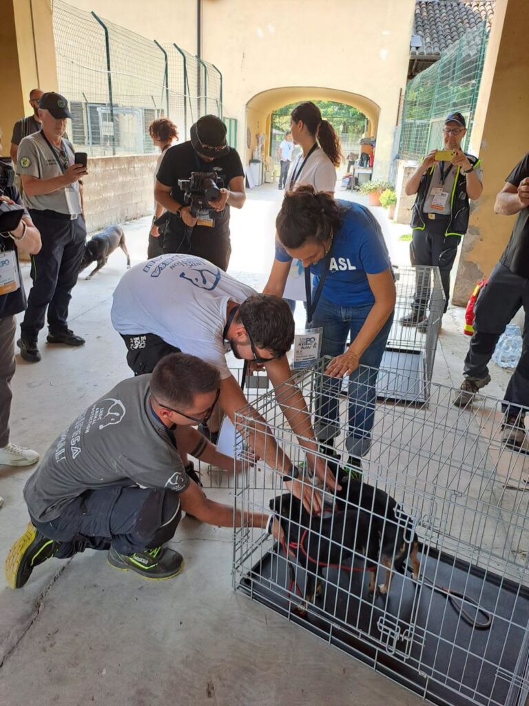 Baulandia Casale evacuazione
