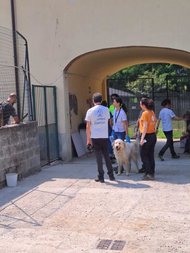 Baulandia Casale evacuazione