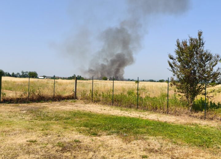 Altro incendio sterpaglie nell’Alessandrino: il rogo in un campo a Spinetta