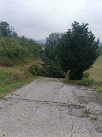 Violento temporale e grandine in Val Cerrina e Casalese. Danni a case, auto e alberi abbattuti