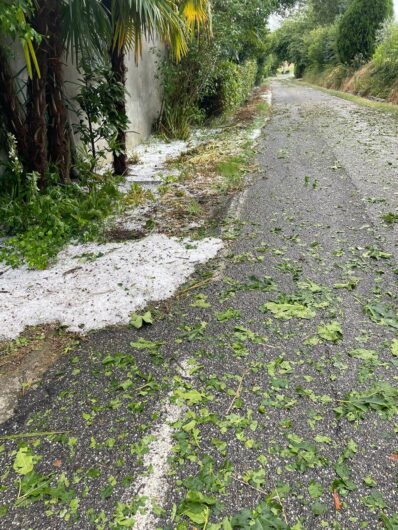 Forte temporale tra Casalese e Val Cerrina. Vento e grandine devastano vigneti a Rosignano