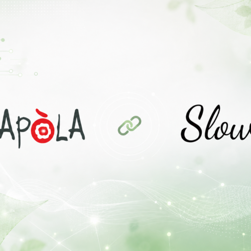 Sostenibilità che passa dal digitale: Amapola accanto a Sloweb APS
