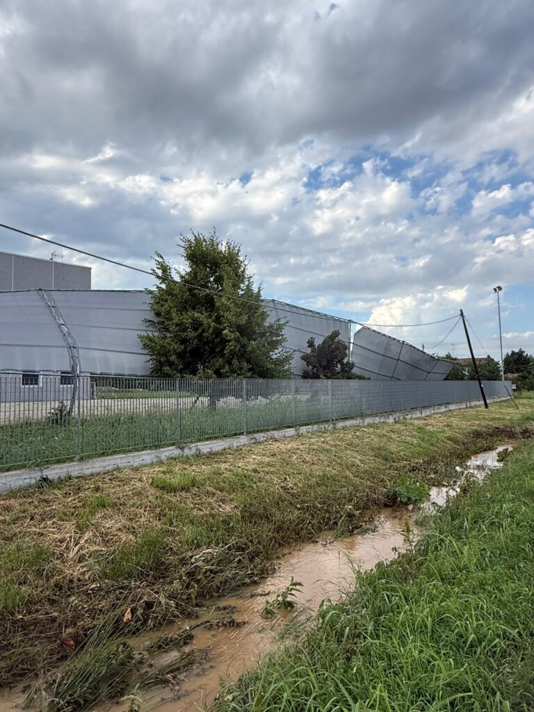 Tettoia sradicata Terruggia