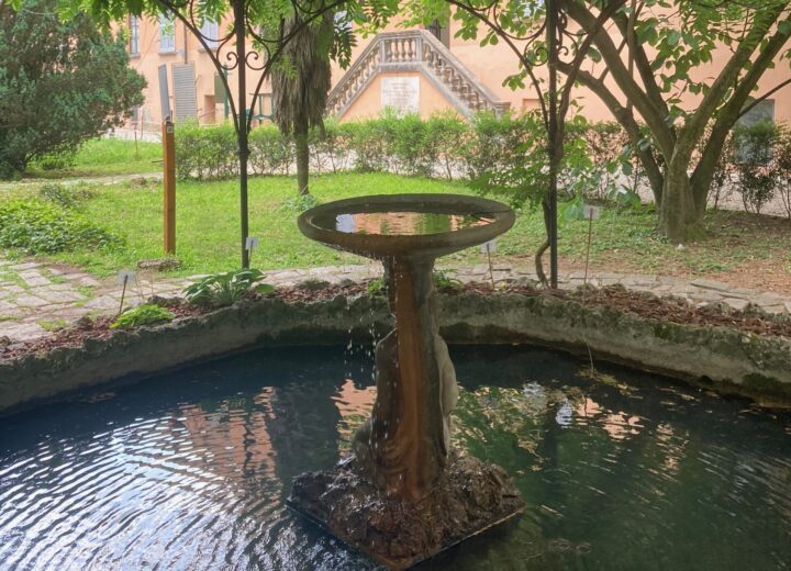 La festa degli orti botanici per trovare fresco e bellezza, anche a Pavia