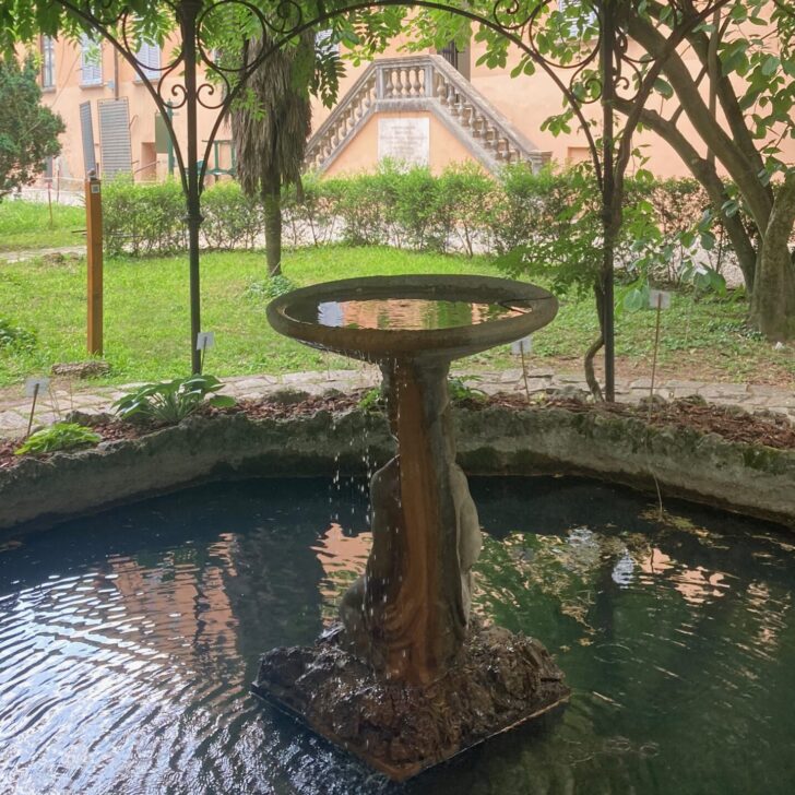 La festa degli orti botanici per trovare fresco e bellezza, anche a Pavia