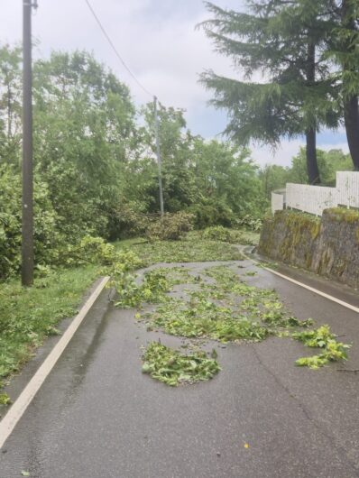 Maltempo: a Gabiano alberi abbattuti e danni anche alle abitazioni per il vento e la grandine
