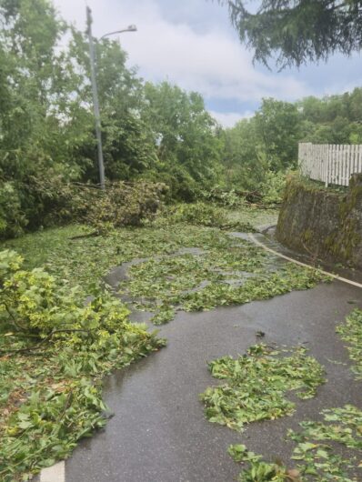 Maltempo: a Gabiano alberi abbattuti e danni anche alle abitazioni per il vento e la grandine