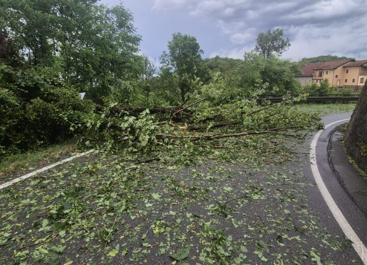 Maltempo: a Gabiano alberi abbattuti e danni anche alle abitazioni per il vento e la grandine