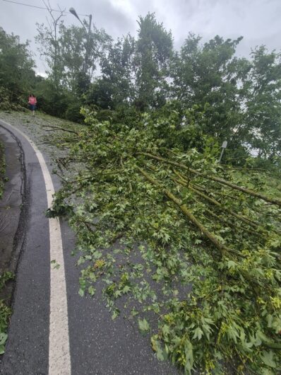 Maltempo: a Gabiano alberi abbattuti e danni anche alle abitazioni per il vento e la grandine