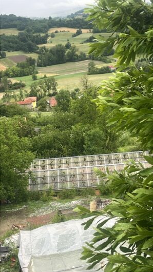 Violento temporale e grandine in Val Cerrina e Casalese. Danni a case, auto e alberi abbattuti