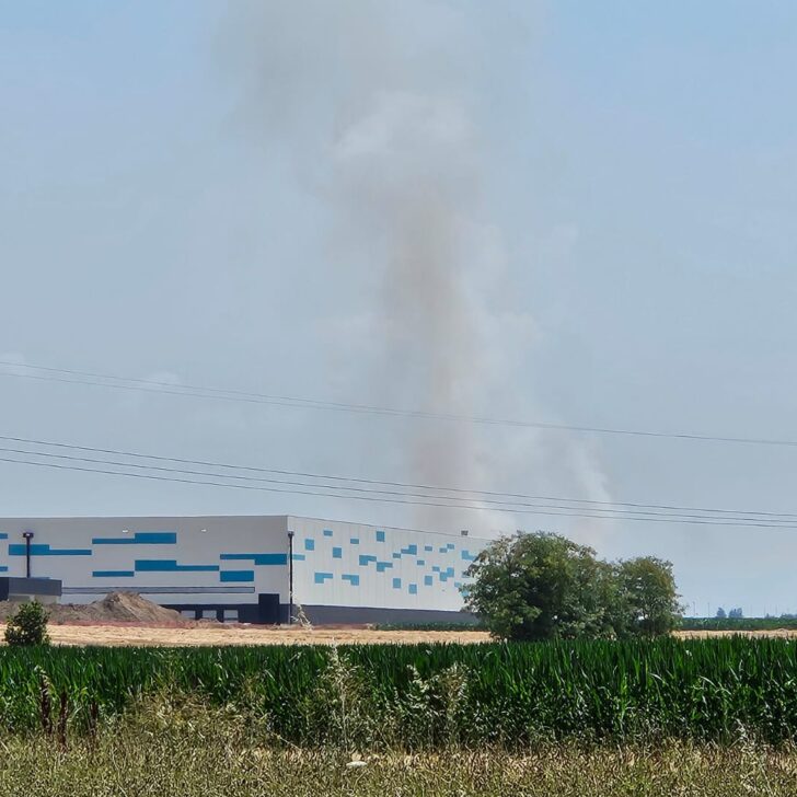 Incendio di sterpaglie tra Spinetta e Litta Parodi: al lavoro i Vigili del Fuoco