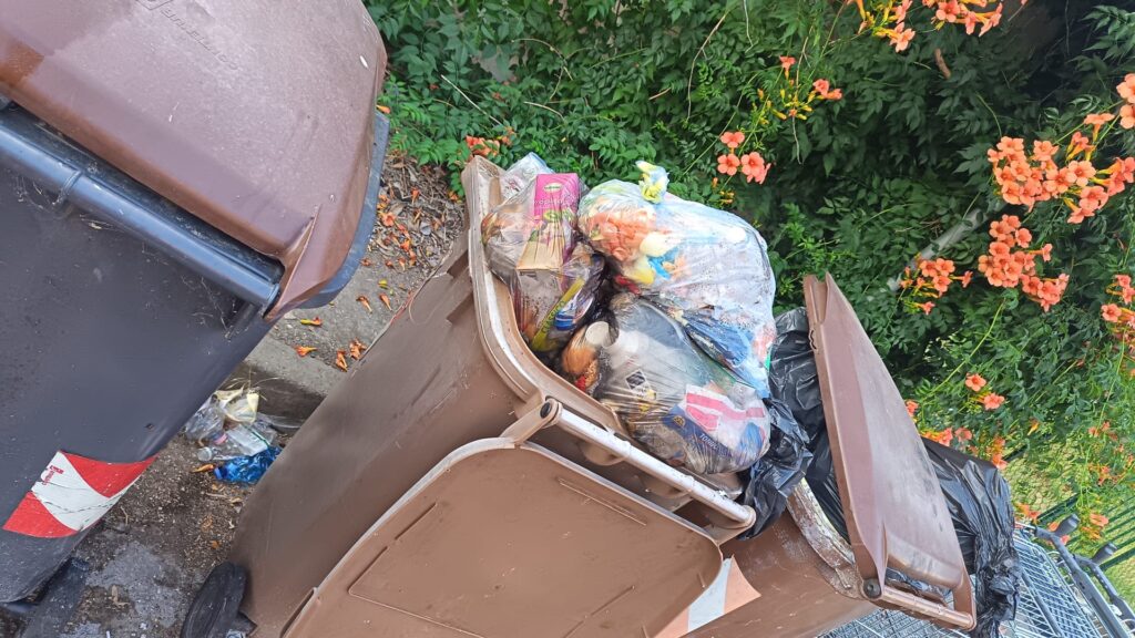 Rifiuti abbandonati