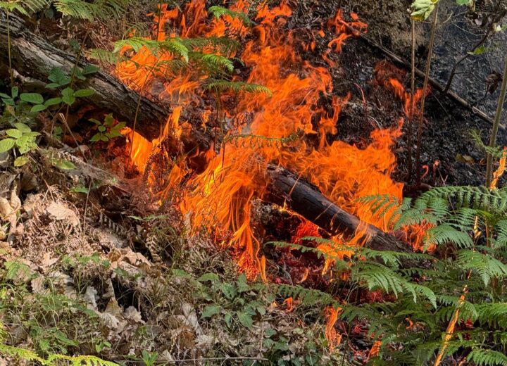 Sterpaglie a fuoco nell’ovadese