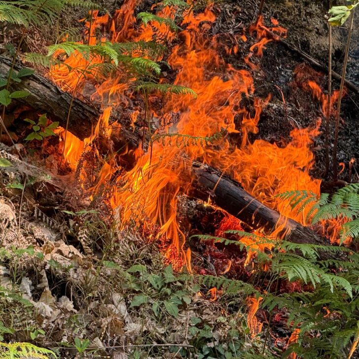 Sterpaglie a fuoco nell’ovadese