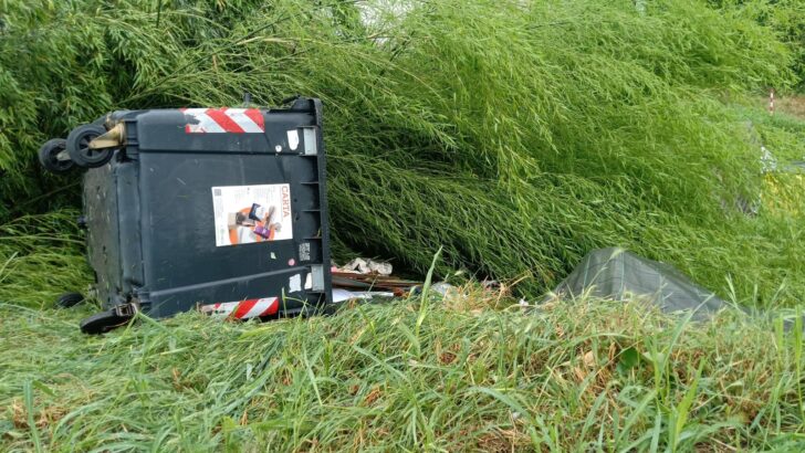 Maltempo: a Gabiano alberi abbattuti e danni anche alle abitazioni per il vento e la grandine