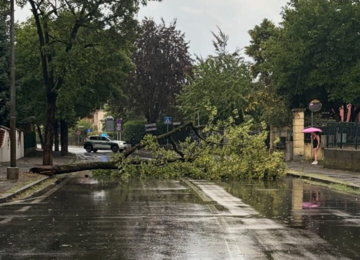 Maltempo in provincia: alberi caduti e allagamenti nel Novese e nell’Acquese