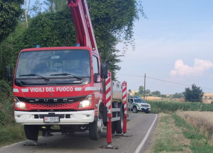 Rimosso un albero pericolante a San Salvatore: strada comunale Pietramarazzi riaperta