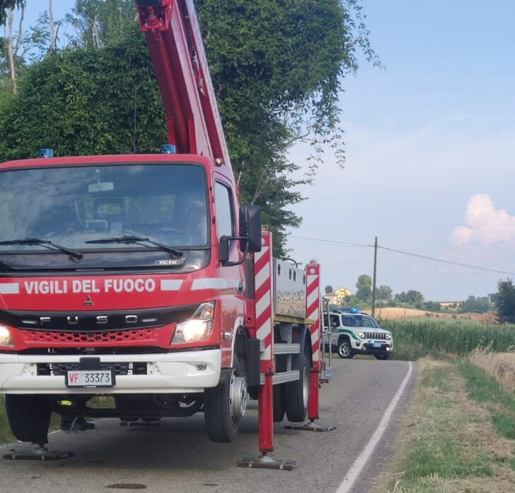 Rimosso un albero pericolante a San Salvatore: strada comunale Pietramarazzi riaperta