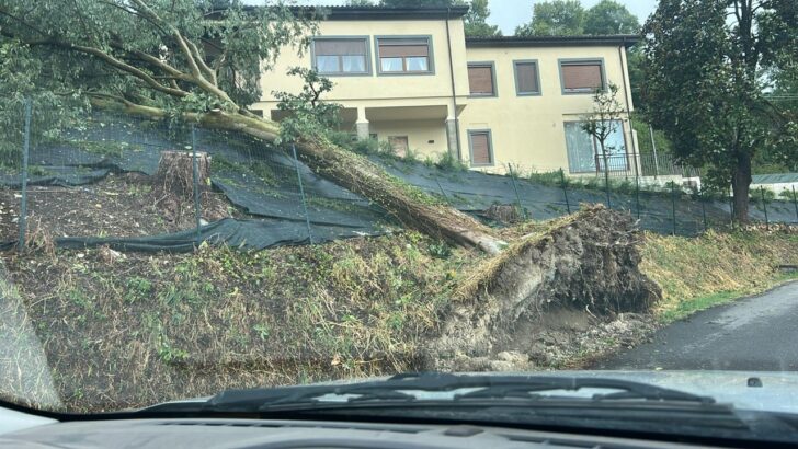 Maltempo: a Gabiano alberi abbattuti e danni anche alle abitazioni per il vento e la grandine