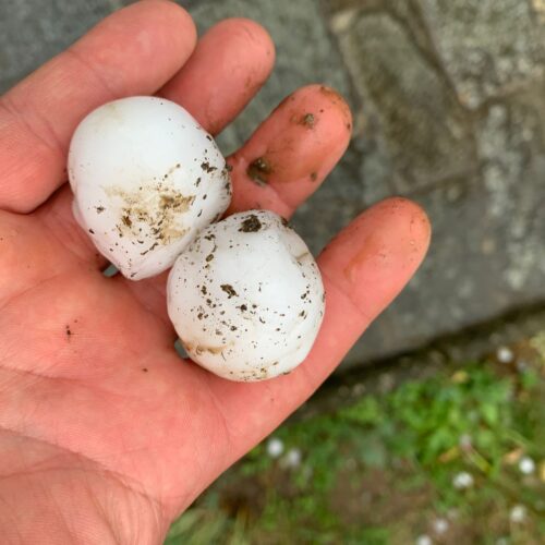 Violento temporale e grandine in Val Cerrina e Casalese. Danni a case, auto e alberi abbattuti