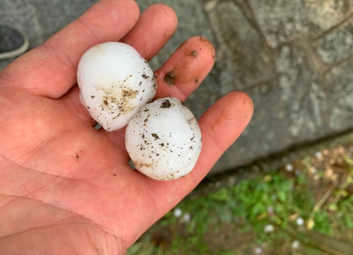 Violento temporale e grandine in Val Cerrina e Casalese. Danni a case, auto e alberi abbattuti