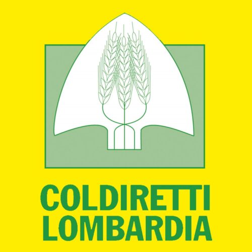 Nubifragi e grandine devastano le campagne pavesi: mais distrutto al confine con il Piemonte