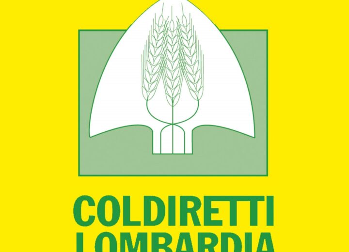 Nubifragi e grandine devastano le campagne pavesi: mais distrutto al confine con il Piemonte